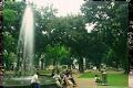 Pengamat menilai, Lembah...