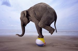 Tak bersurat, gajah...