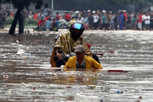 4.000 hektare sawah...