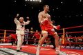 Lennox Lewis sebut Price...