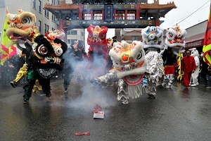 100 Barongsai & 15 liong...