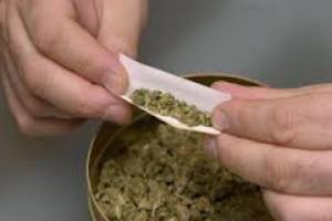 Nyambi jual ganja, sopir...