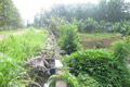 Saluran irigasi jebol,...