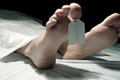 Lagi mancing, Bambang...