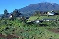 Dihadang warga, villa...