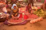 Harga bawang di Tana...
