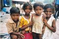 Aparat India bebaskan...