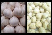 Sidak bawang putih,...