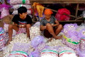 Impor dibuka, bawang...