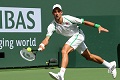 Tsonga kecewa, Djokovic...