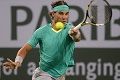 Indian Wells turnamen...