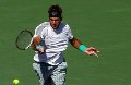 Del Potro: Nadal layak...