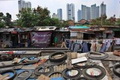 Bedah kampung kumuh,...