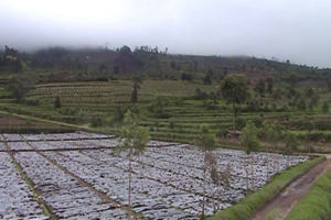 Kawah Timbang berbahaya,...