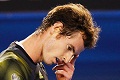 Del Potro yakin Murray...