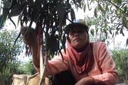 Cuaca buruk, petani...
