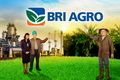 Perkuat bisnis, AGRO...