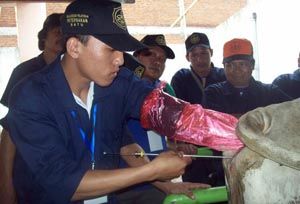 Spanyol bantu mesin...