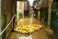 Kurangi banjir, UGM...