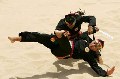 Silat tempa 32 atlet...