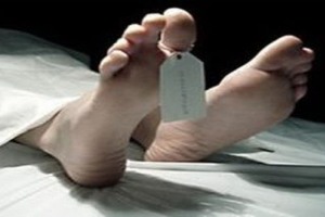 Tidur pulas dikolong...