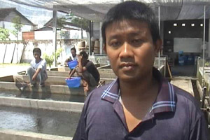 Lele antarkan pemuda...