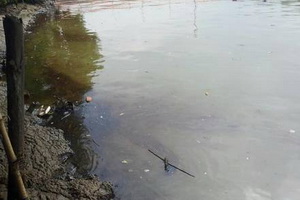 Buang limbah di Cisadane,...