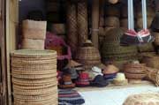 Tanaman bambu Indonesia...