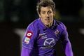 Fiorentina banderol...