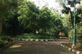 Pembangunan hutan &...