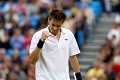 Mahut kantongi tiket...