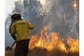 Kebakaran hutan Riau...