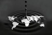 Harga minyak dunia tertutupi...