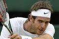 Del Potro dan Nishikori...