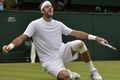 Ladeni Djokovic, Del...