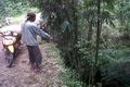 Korban pembunuhan dalam...