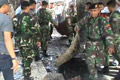 Perbaikan Lapas Tanjung...