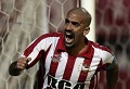 Veron kembali merumput