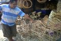 Pesanan keranjang parcel...