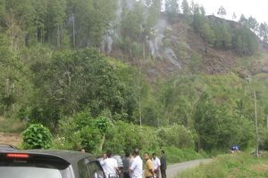 Hutan Sibatu Loting...