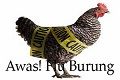 Kasus baru flu burung...