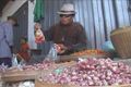 Harga bawang merah di...