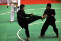 Pesilat Ragunan gondol...