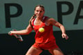 Ingin jadi artis, Cibulkova...