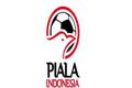 Piala Indonesia, kompetisi...