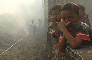 Efek kabut asap, sudah...