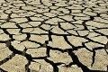 23 daerah di Jatim terancam...