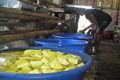 Produsen tahu di Makassar...