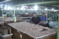 Harga tempe melejit,...