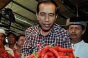 Jokowi jajaki investasi...